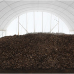 compost